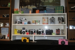SONY DSC