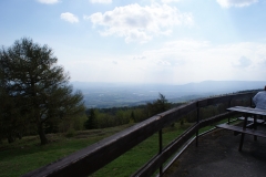 SONY DSC