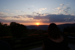 SONY DSC