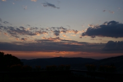 SONY DSC