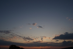 SONY DSC