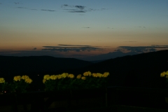 SONY DSC
