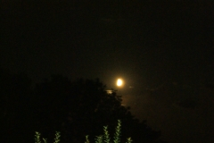 SONY DSC