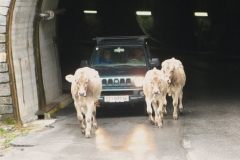 20100918_005