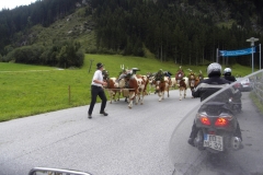 SAMSUNG DIGITAL CAMERA