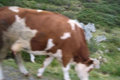 20110828_167