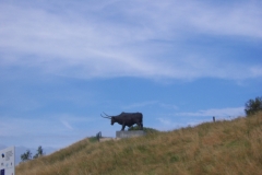 20130726_145
