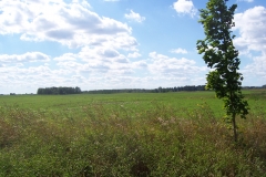 20130726_233