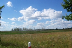 20130726_234