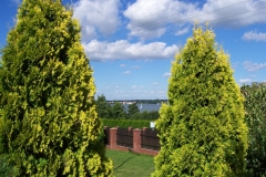 20130726_237