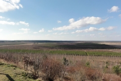 20140223_003