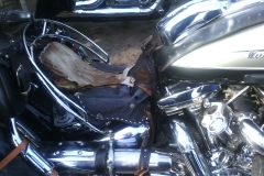 20141031_Saisonabschlussfahrt_014