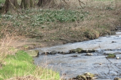 20150324_001