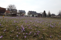 20150324_004