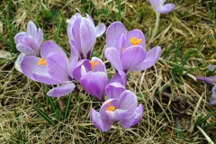 20150324_005
