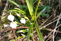 20150324_008
