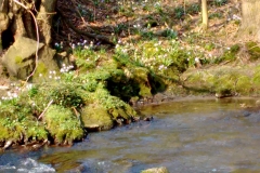 20150324_009