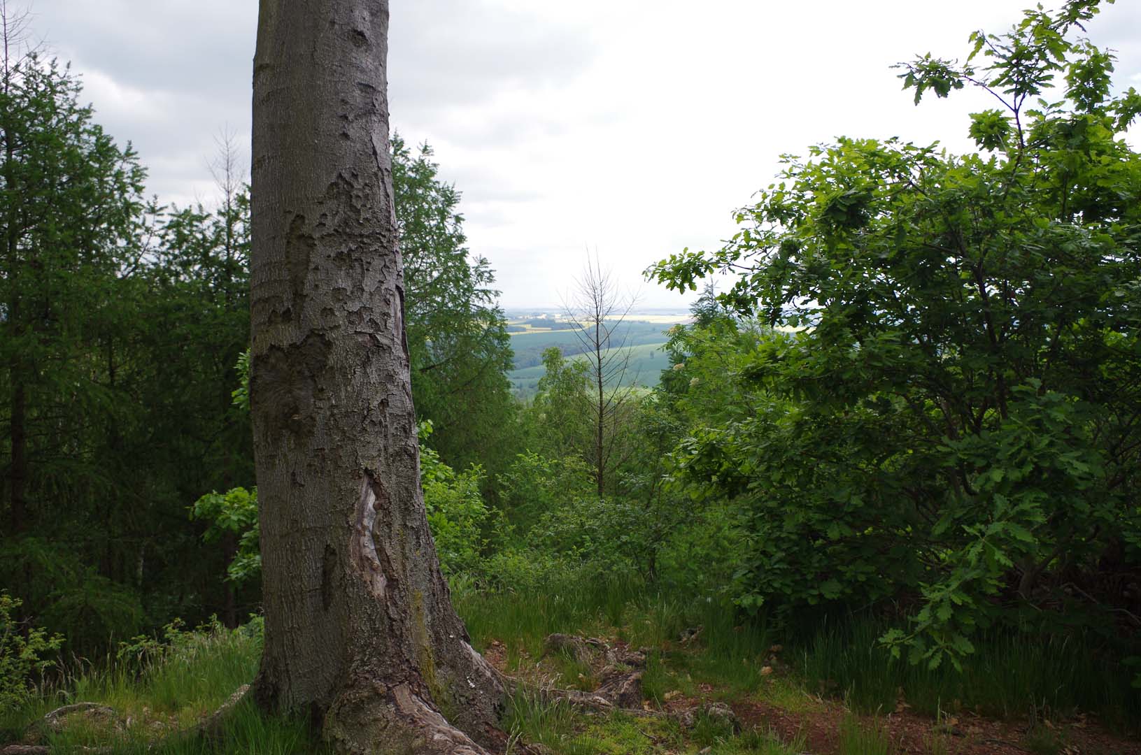 20150514_vatertagstour_017