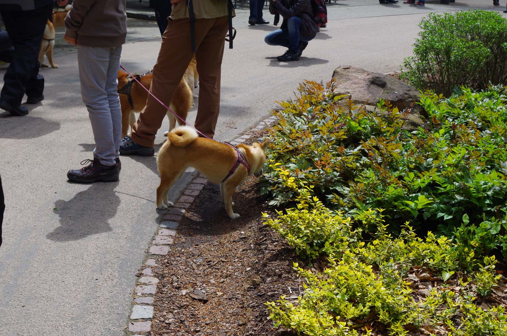 20150514_vatertagstour_066