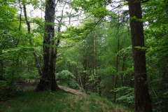 20150514_vatertagstour_015