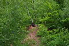 20150514_vatertagstour_039