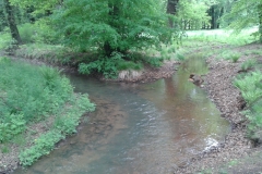 20150516_tour_zum_schloss_altdoebern_003