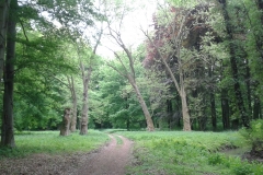 20150516_tour_zum_schloss_altdoebern_004