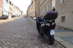 20150724_mexx_im_Wald_004