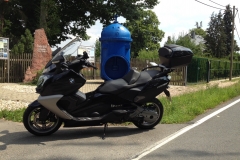 20150724_mexx_im_Wald_005