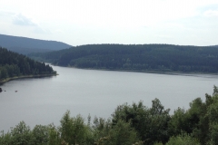 20150724_mexx_im_Wald_009