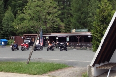 20150724_mexx_im_Wald_010