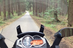 20150724_mexx_im_Wald_011