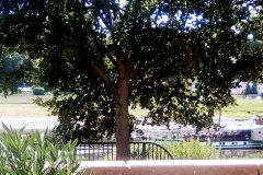 20170621_003