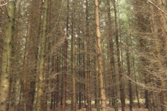 20170929_002