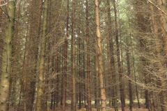 20170929_002