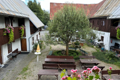 20240825_022 20240825_022