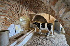 20240825_069 20240825_069