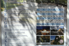 20240825_107 20240825_107