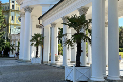 20240825_116 20240825_116