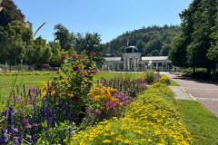 20240825_117 20240825_117