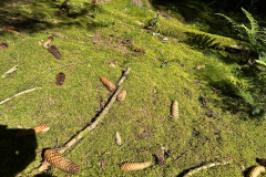 20240825_132 20240825_132