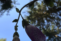 20240825_133 20240825_133