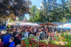 20260606_002